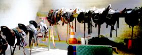 20080531_5697a Kopie.jpg