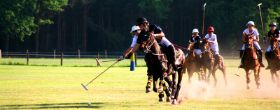 20080531_5930a Kopie.jpg