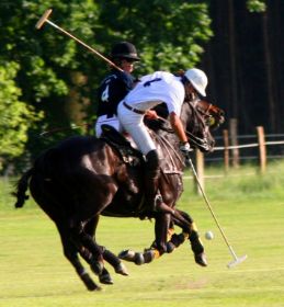20080531_5952a Kopie.jpg